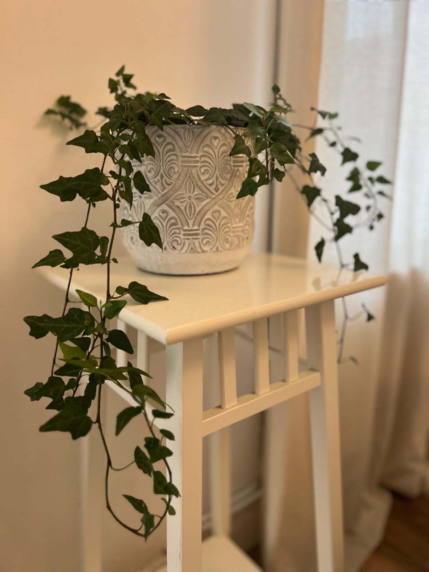 2025 Award Winner Liverpool Ivy House - 4 Bedrooms Zewnętrze zdjęcie